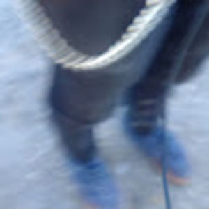 Meet your Posher, Gregory